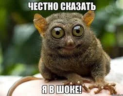 images-15.webp