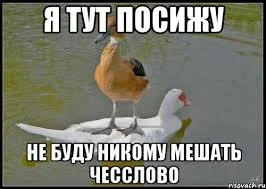 images (16).webp