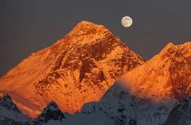 images (16).webp
