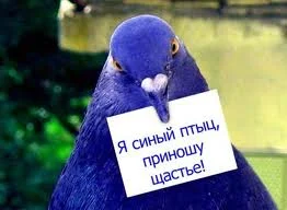 images-17.webp