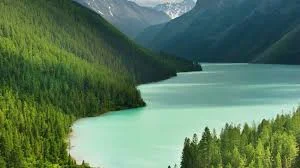 images (18).webp