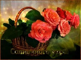 images-18.webp