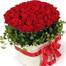 images (2).webp