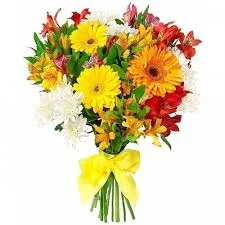 images-2.webp