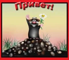 images (20).webp