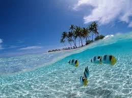 images (20).webp