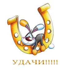 images-20.webp