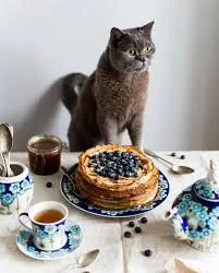 images - 2022-09-09T131000.334.webp