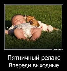 images - 2022-09-09T205718.242.webp