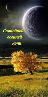 images - 2022-09-09T232743.866.webp