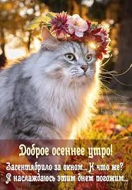 images - 2022-09-14T071845.747.webp