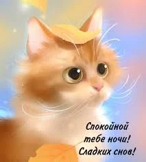 images - 2022-09-15T225832.734.webp