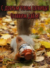 images - 2022-09-16T074809.313.webp