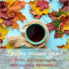 images - 2022-09-17T080848.201.webp