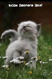 images - 2022-09-18T160334.958.jpeg