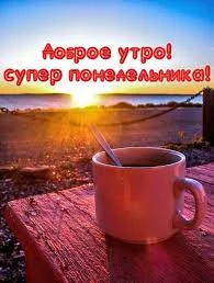 images - 2022-09-19T072543.849.webp