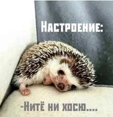 images - 2022-10-04T103152.189.webp