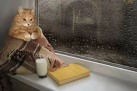 images - 2022-10-04T103720.241.webp