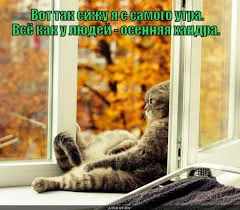 images - 2022-10-04T104012.246.webp