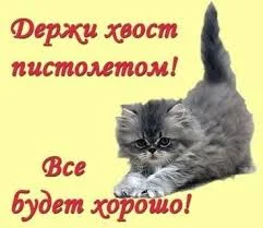 images - 2022-10-04T121436.386.webp