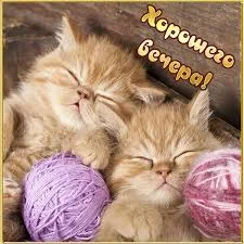 images - 2022-10-07T193217.518.webp