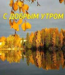 images - 2022-10-14T091853.189.webp