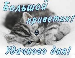 images - 2022-10-18T121603.992.webp