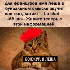 images - 2022-10-19T191339.452.webp