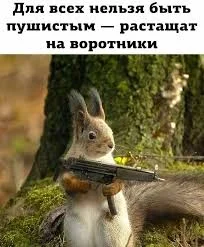 images - 2022-10-19T191731.154.webp