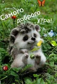 images - 2022-10-25T102847.048.webp