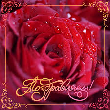 images - 2022-10-27T100104.197.jpeg