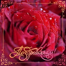 images - 2022-10-27T100104.197.webp