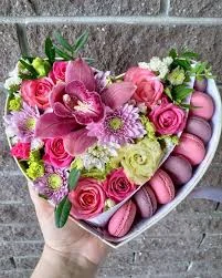 images - 2022-10-31T103833.259.webp