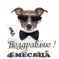 images - 2022-10-31T104712.882.webp