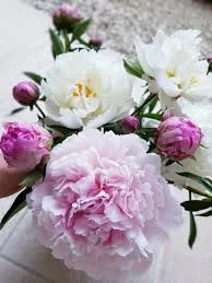 images - 2022-10-31T104831.374.webp