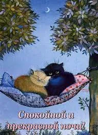 images - 2022-11-11T214804.816.webp