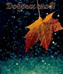 images - 2022-12-04T231440.832.jpeg