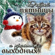 images - 2022-12-09T074300.328.webp