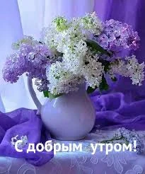 images - 2023-04-24T082538.625.webp