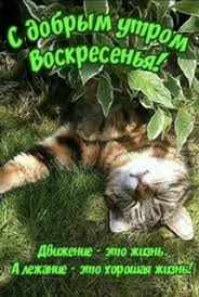 images - 2023-04-30T093503.516.jpeg