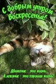 images - 2023-04-30T093503.516.webp