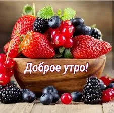 images - 2023-04-30T094714.609.webp