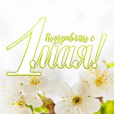 images - 2023-05-01T072607.083.webp