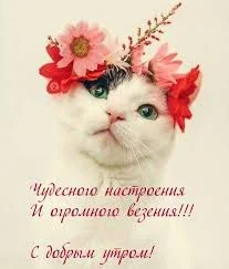 images - 2023-05-01T072729.175.webp