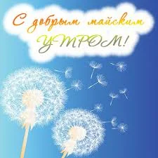 images - 2023-05-10T074512.327.webp