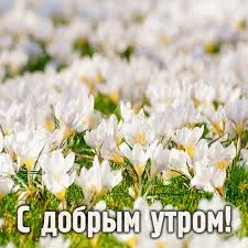 images - 2023-05-15T075034.179.webp