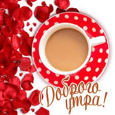 images - 2023-05-17T081340.989.webp