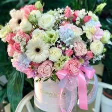 images - 2023-05-17T233249.721.webp