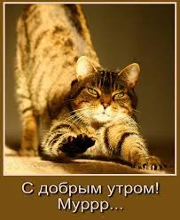 images - 2023-05-27T081158.260.webp