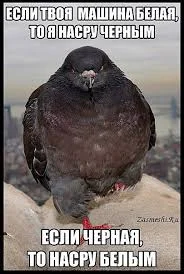 images - 2023-05-31T105128.912.webp